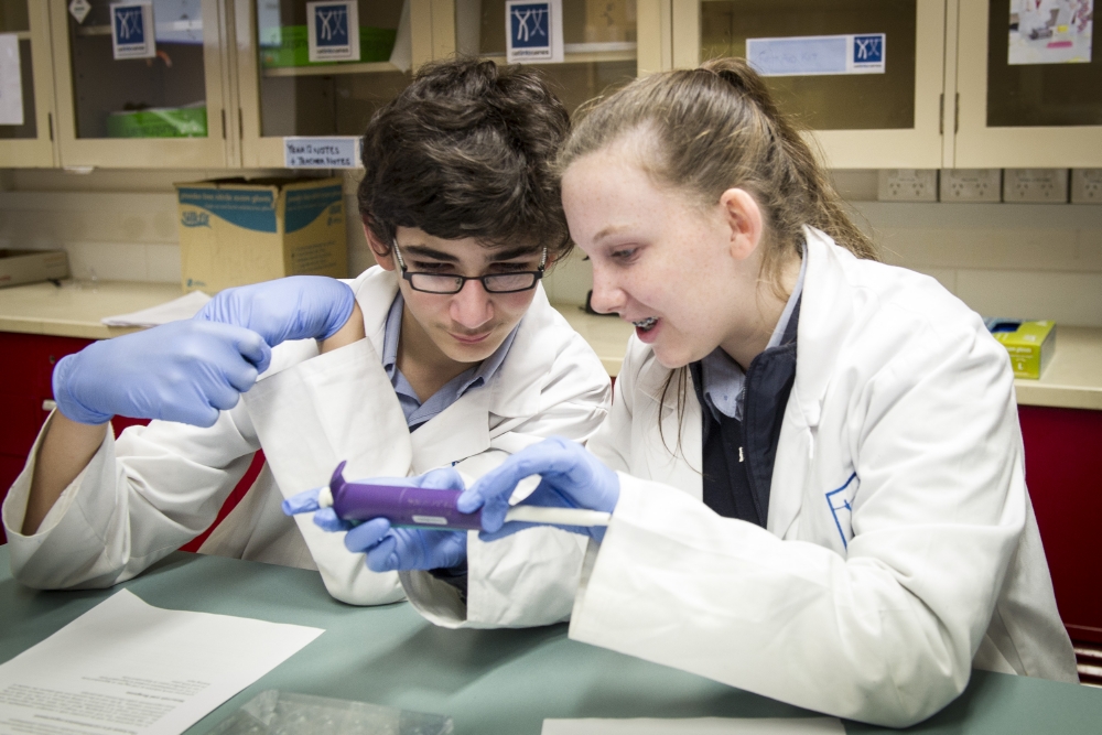 Uni Bridges Science day