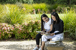 Two girls reading in park